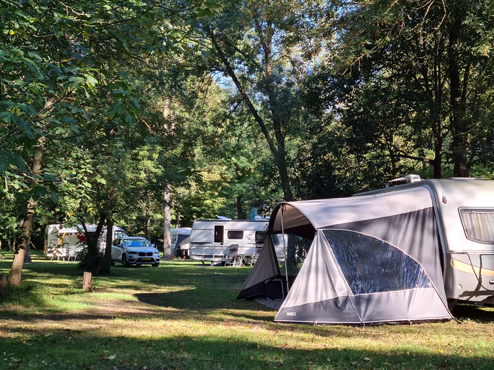 pitches-camping-du-lion